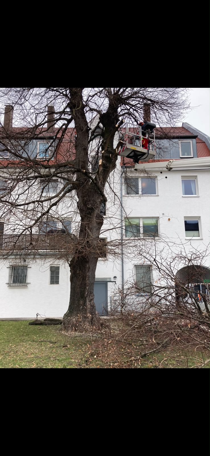 Gartenpflegeprojekt
